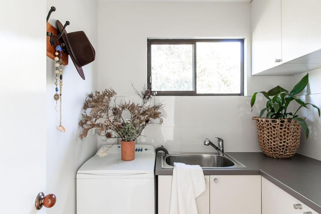 Driftwood Rest Binalong Bay Sleeps 4ヴィラ エクステリア 写真